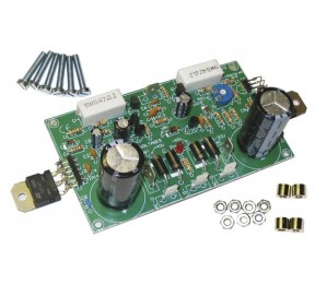 Amplificateur mono 200W Kit WSAH8060