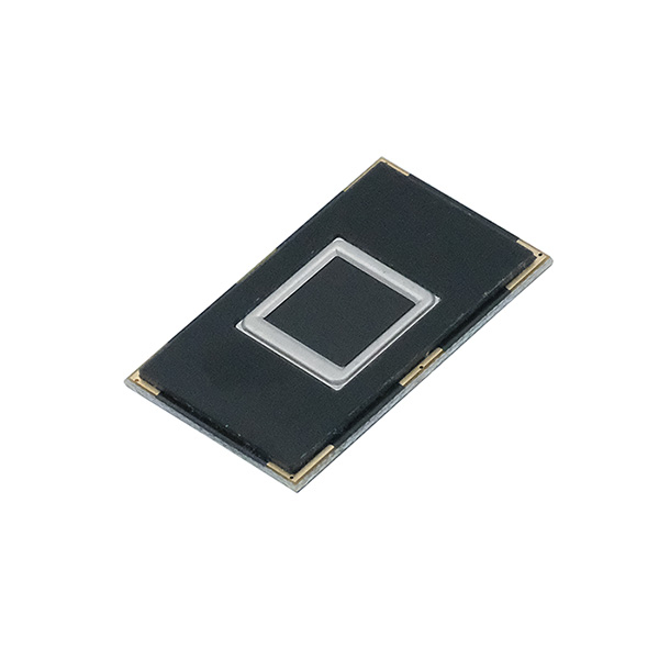 Capteur d'empreinte digitale R301T