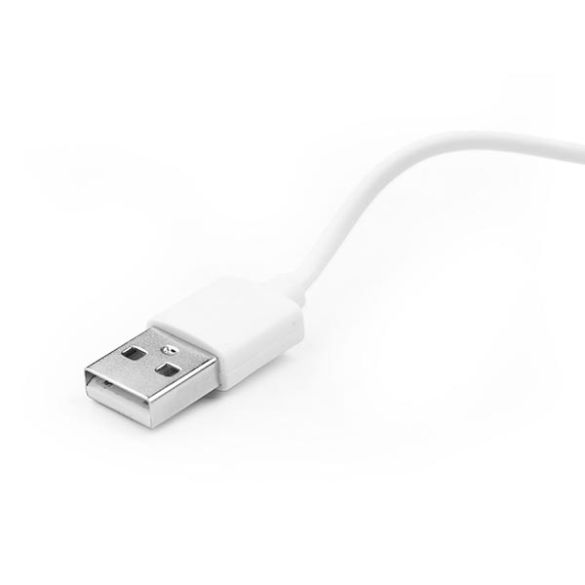 Câble de charge magnétique USB Type-A vers 2P 