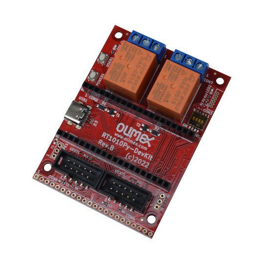 Module RT1010PY DevKit 