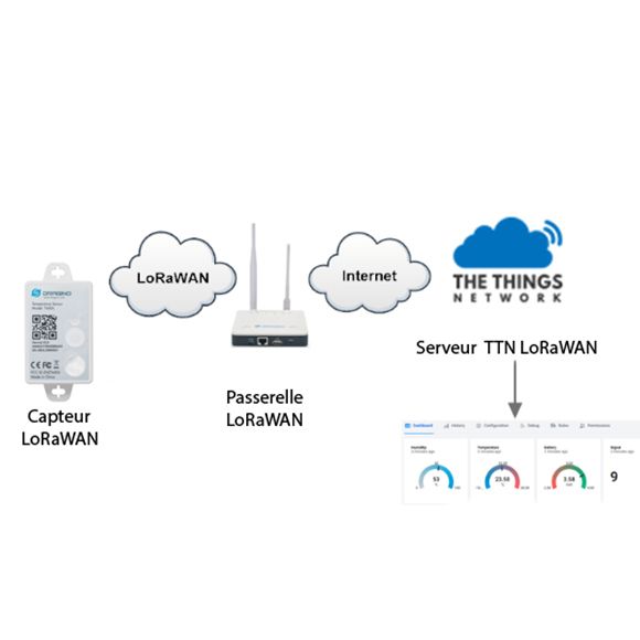  Capteur de température LoRaWAN T68DL