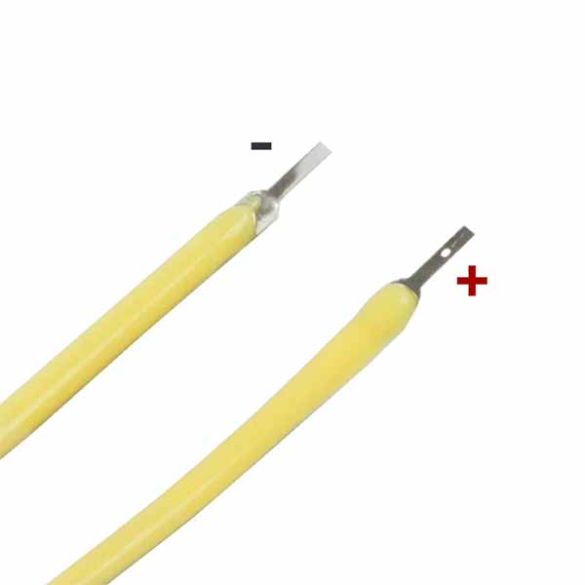 Polarité des filaments 