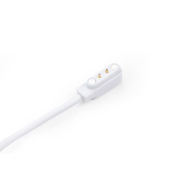 Câble de charge magnétique USB Type-A vers 2P 