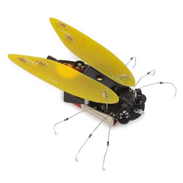  Cigale électronique