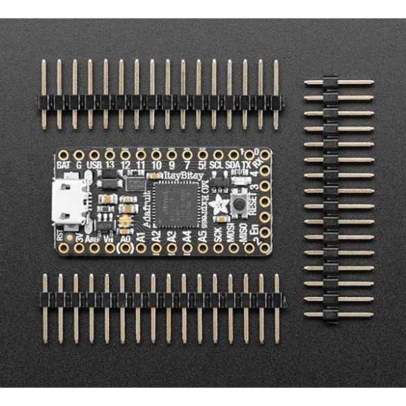  Carte ItsyBitsy M0 Express ADA3727
