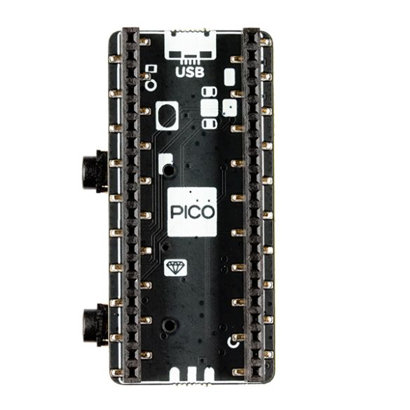  Module Pack Audio Pico PIM544