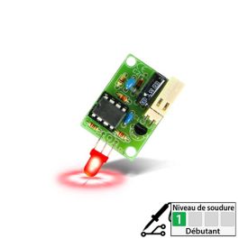 Moniteur de batterie 12 Vcc