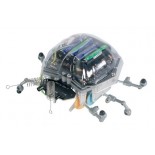 Kit robot Ladybug 